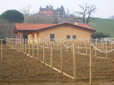 orti anziani toscanella.jfif